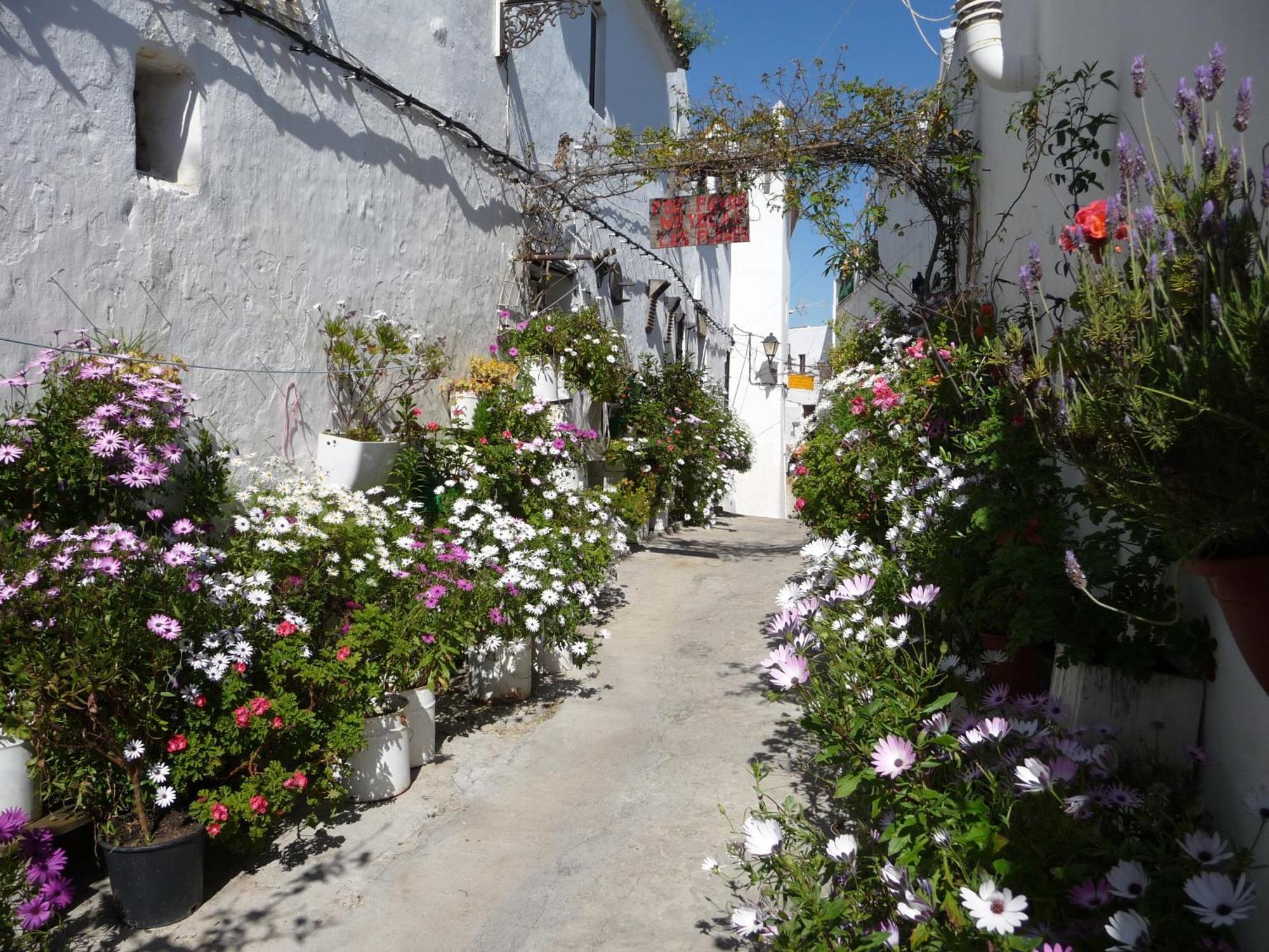 Vivienda Turistica De Alojamiento Rural Silla Vieja Vejer de la Frontera Exterior foto