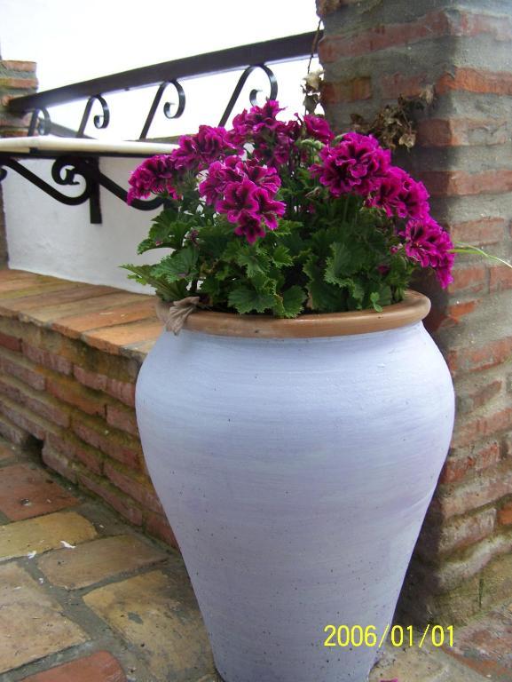 Vivienda Turistica De Alojamiento Rural Silla Vieja Vejer de la Frontera Exterior foto